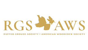RGS AWS Logo