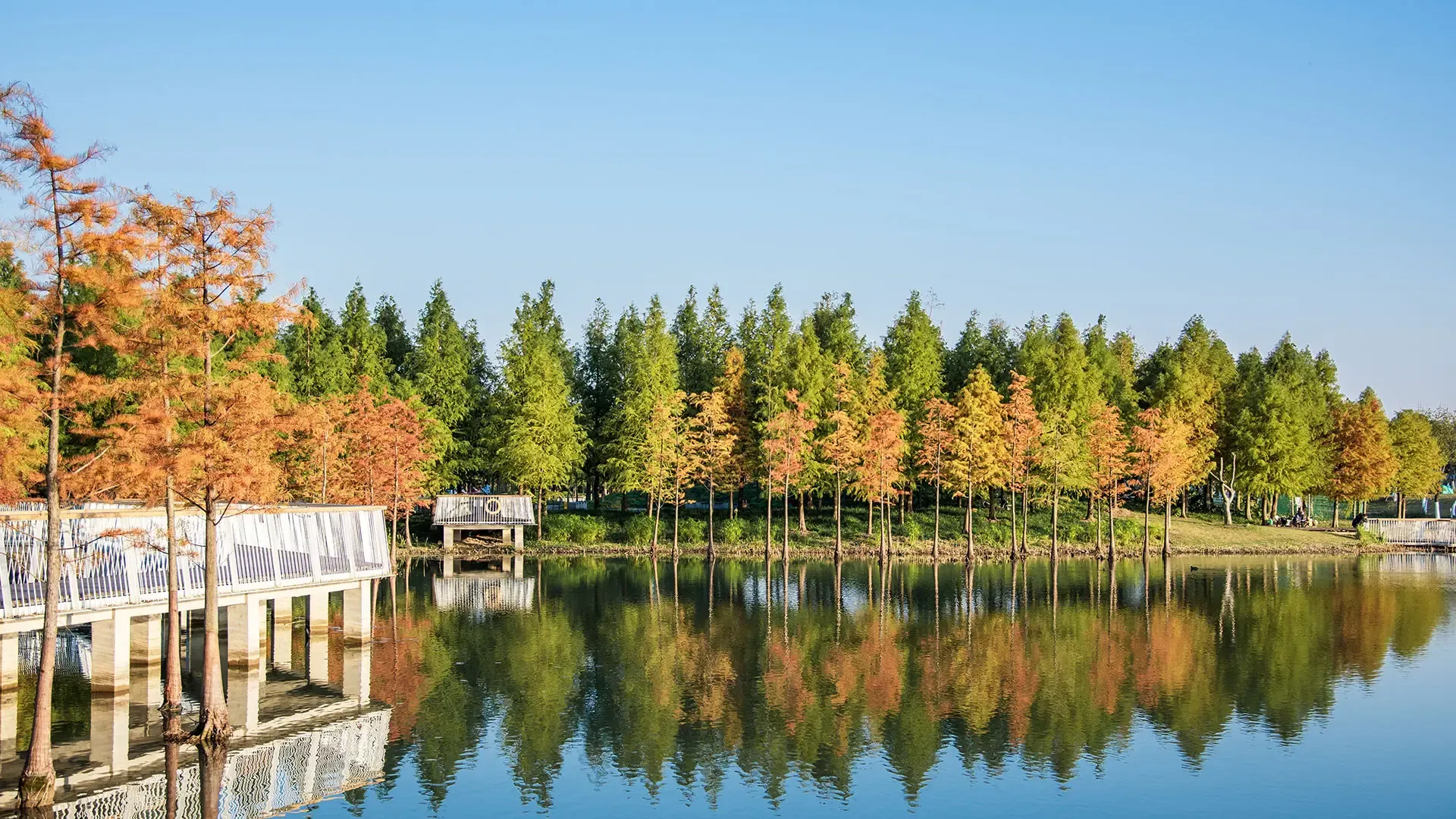A serene lake with a wooden dock and lush trees in the background